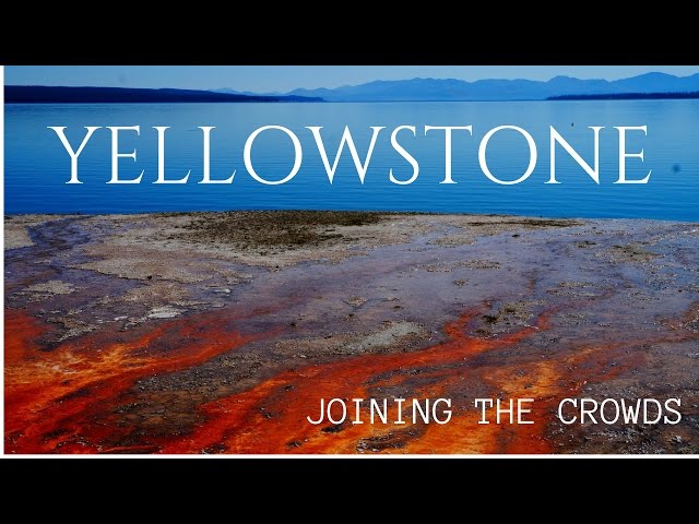 Visiting Yellowstone National Park - East Side Attractions | MOTM VLOG #58