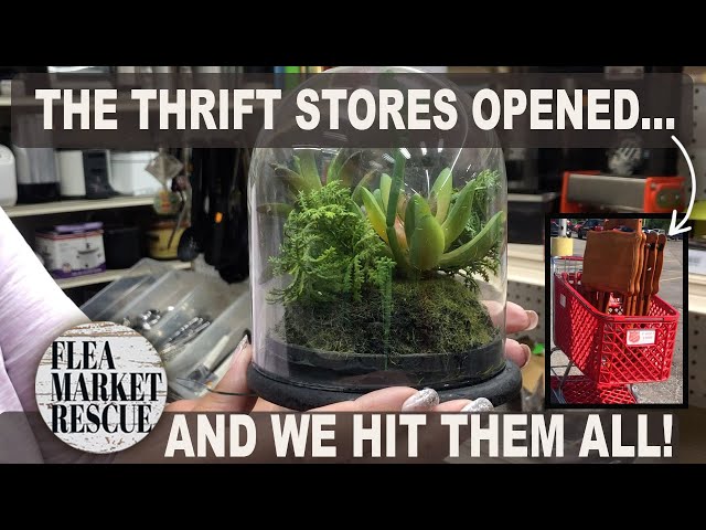 THE THRIFT STORES OPENED UP and WE HIT ALL OF THEM-COME WITH ME THRIFTING FOR DIY FARMHOUSE DECOR!