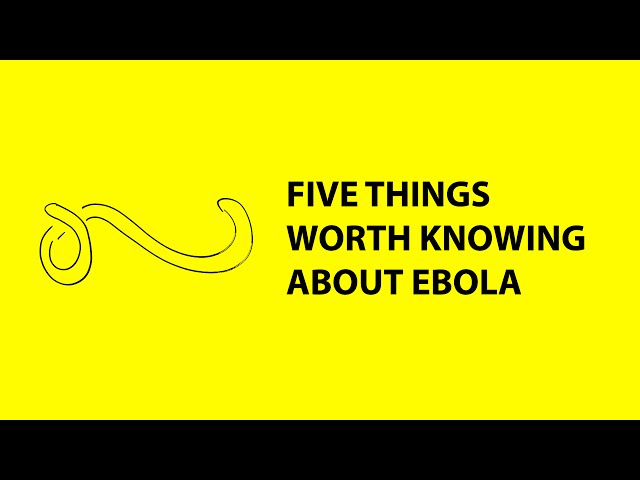 5 things worth knowing about the risks of Ebola