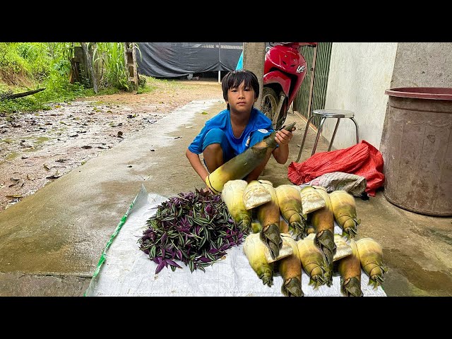 Orphan Boy- Harvesting Bamboo shoots And Vegetables Going To Market , Fishing And Cooking Shrimps