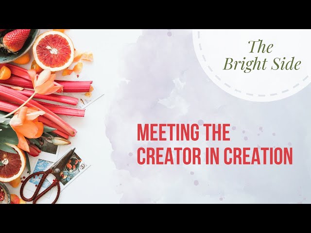 The Bright Side - Meeting the Creator in Creation