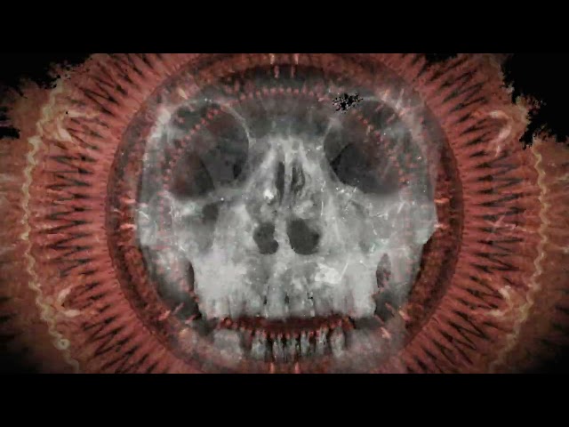 Dååth - The Philosopher (Death Cover ft. Dan Sugarman and Rafael Trujillo)