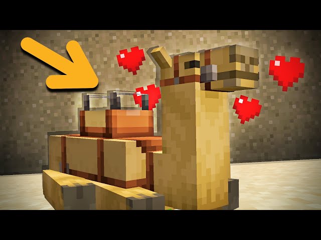 How to Find and Tame Camels in Minecraft 1.20 (Trails & Tales)