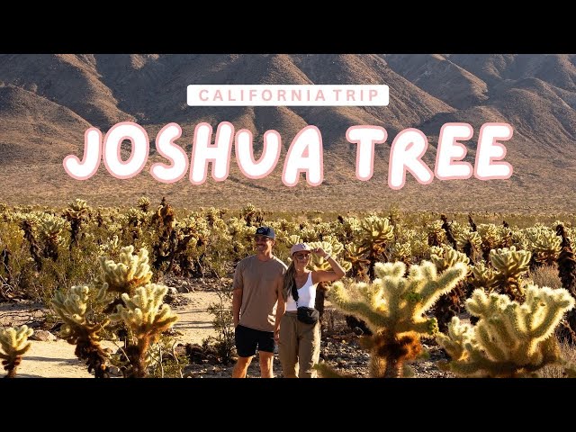 48HRS  IN JOSHUA TREE: Pioneertown, Yucca Valley, & Joshua Tree NP 🌵