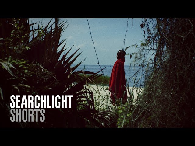 SEARCHLIGHT SHORTS | FEATHERS | dir. A.V. Rockwell