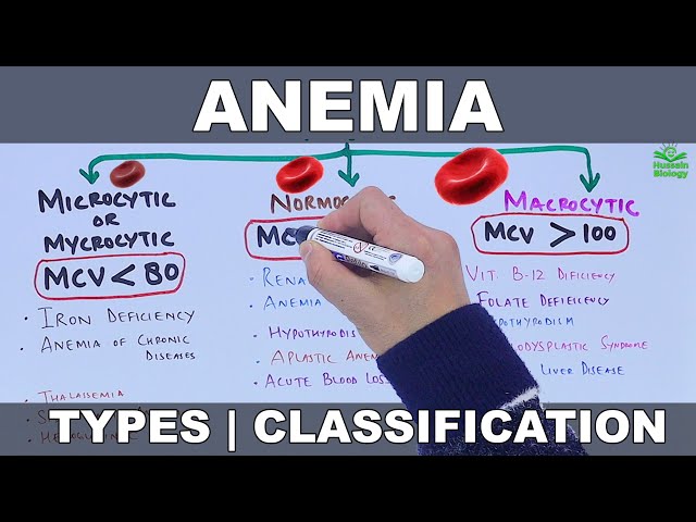 Anemia | Types and Classification