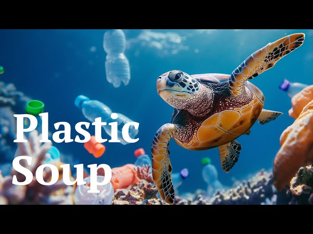 The Plastic Soup in our oceans | EarthDay