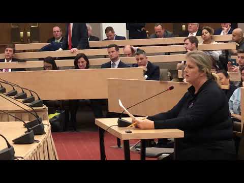 Jessa Jones of iPad Rehab speaks at Boston Legislature