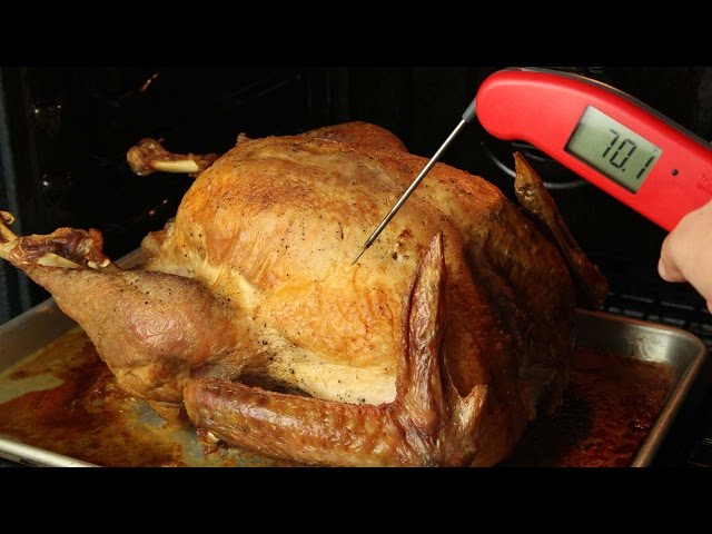 The Right Way to Take the Temperature of Your Turkey