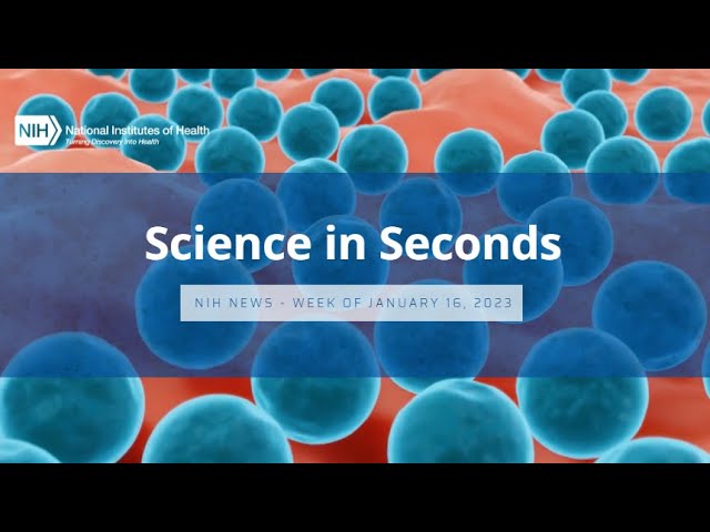 NIH Science in Seconds – Week of January 16, 2023