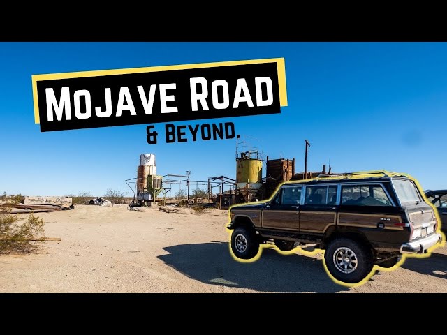 Overlanding the Mojave Preserve: What To Expect