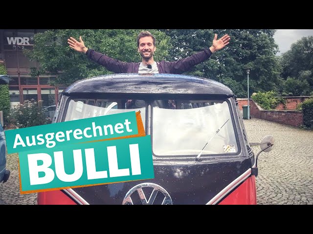 Campervans: What does a Bulli cost? | WDR Reisen
