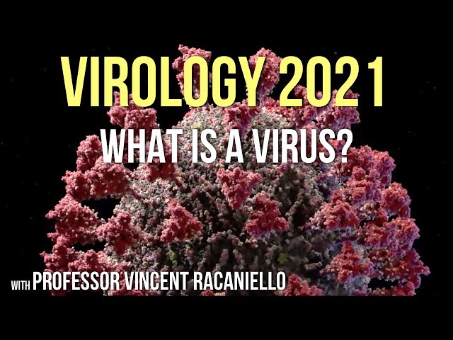 Virology Lectures 2021 #1: What is a Virus?