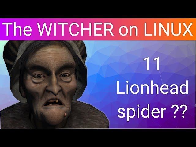 WTF is a LIONHEAD SPIDER ? - The Witcher on LINUX - Part 11