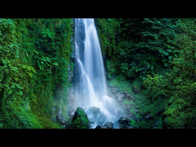 Roaring Waterfall White Noise | Falling Water Sounds for Sleeping