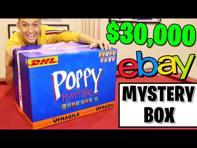 I BOUGHT a $30,000 Poppy Playtime Mystery Box From eBay!!