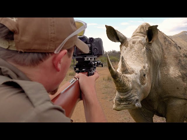 Photo Hunting White Rhino  | The Big 5 Photo Hunting Series - EP 05
