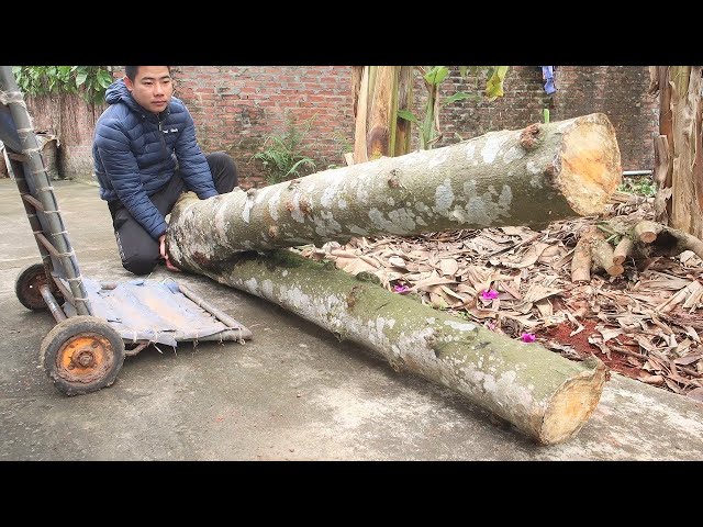 [Genius Infantryman] Uses Nature Giant Wooden Tree By Extreme Interesting Woodworking Design Project