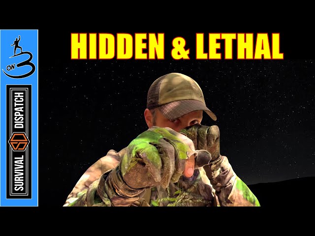 Disappear & Become Dangerous During SHTF | Camouflage Secrets