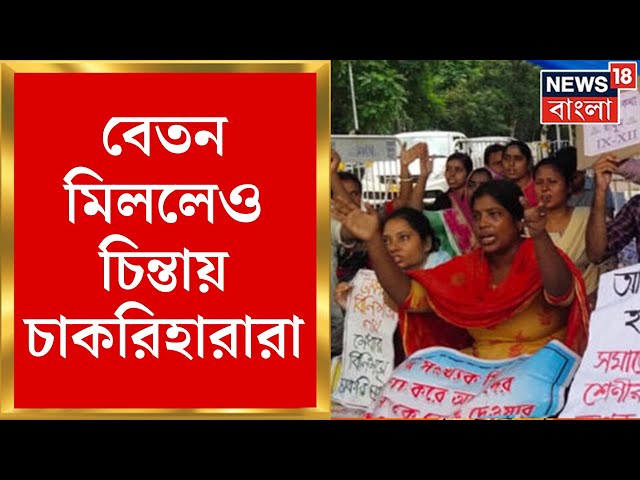 SSC Case Update : চাকরিহারাদের সময়ে বেতন! চলতি মাসে বেতন জুটলেও আগামীর দুশ্চিন্তা। Bangla News