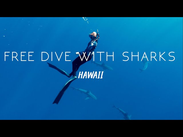 SWIM WITH SHARKS IN HAWAII | Haole Vlog - Episode 30