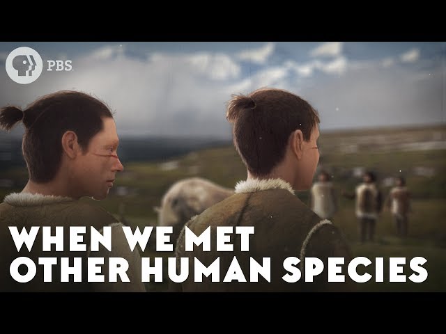 When We Met Other Human Species