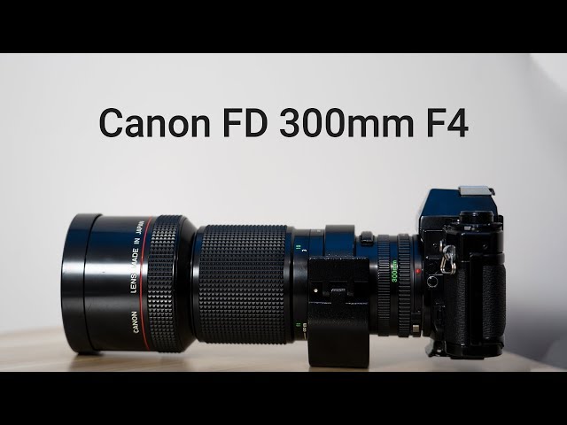 Canon FD 300mm F4 L review