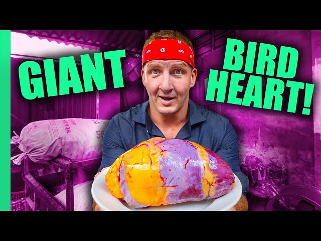 Can You Eat That?? World’s STRANGEST Animal Organ Dishes!! | Full Series (Sonny & Calvin)