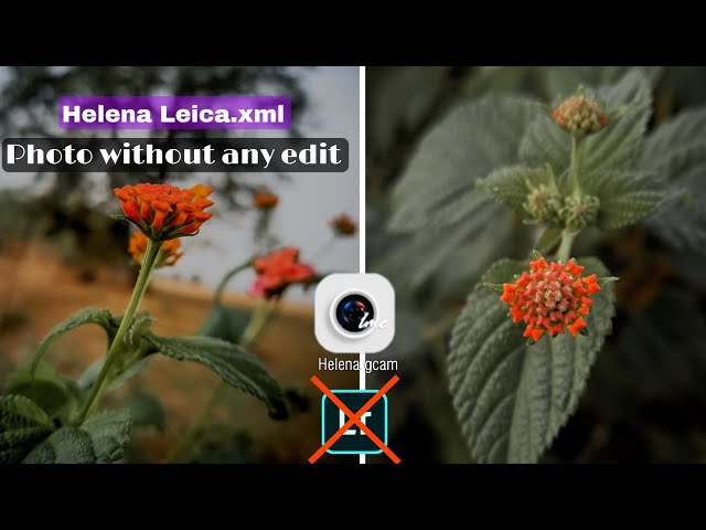 Helena 8.2 leica config.xml No need any edting. Helena photography