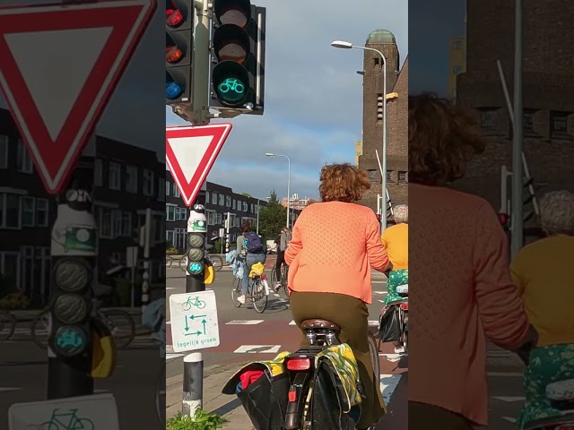 Bicycles Don't Need Traffic Lights