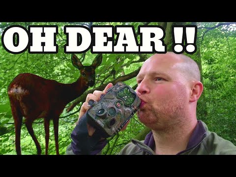 Uk trail camera video's and footage