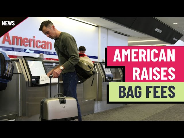 American Airlines hikes luggage charge - How much airlines made off of checked bags in 2023