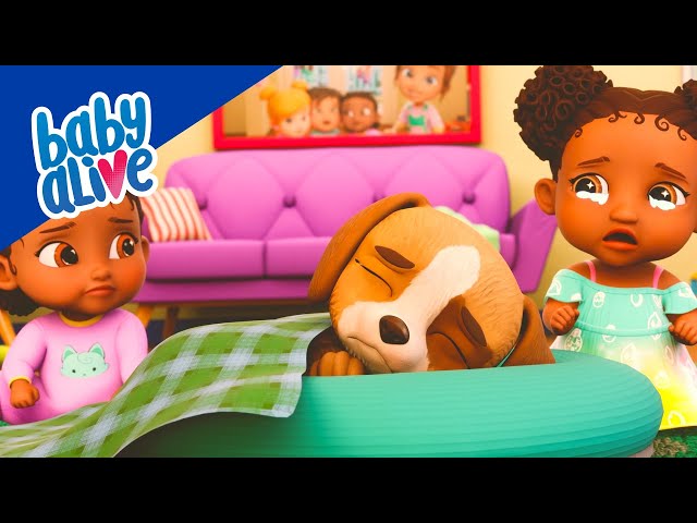Baby Alive Official 🐶 Puppy's First Trip to the Vet! My Dog Is Unwell 🥰 Kids Videos 💕
