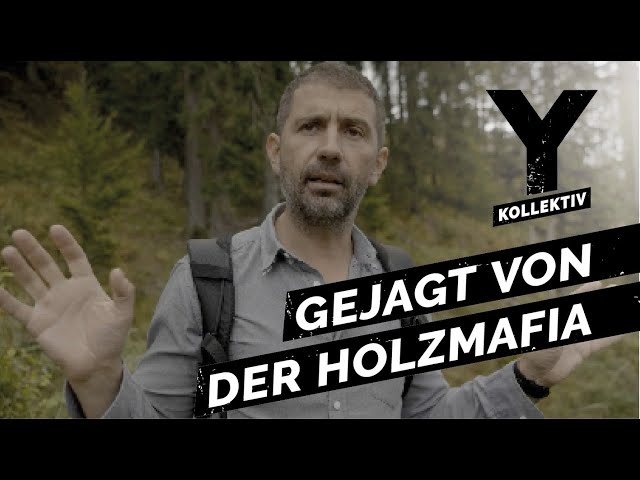 "Die Holzmafia ist hinter mir her!" – Milliardengeschäft illegaler Holzhandel | Y-Kollektiv