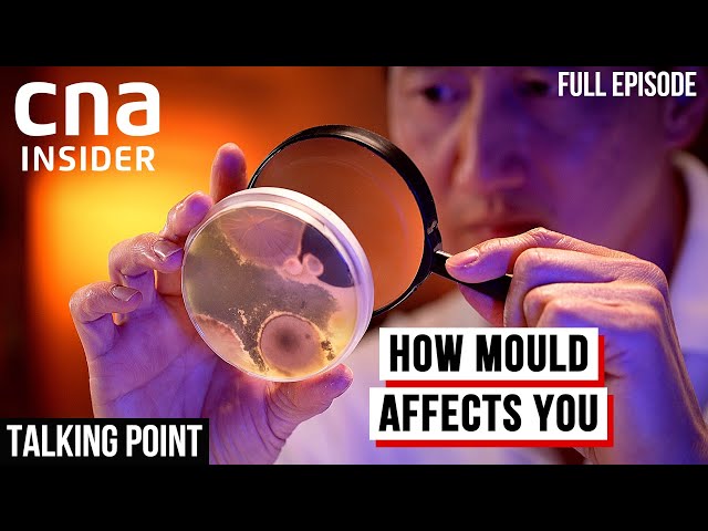 Is Mould In Our Homes Killing Us? | Talking Point | Full Episode