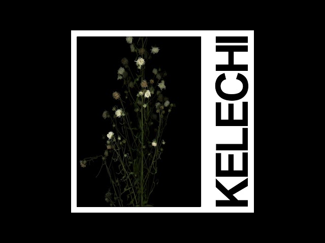 IDLES - KELECHI (Official Audio)