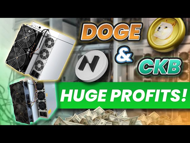 How Much I am Earning Mining Dogecoin and Nervos CKB in 2024!