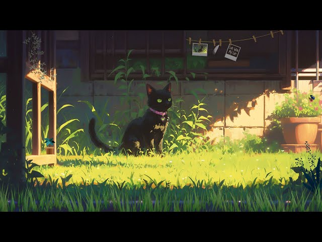 Lofi With My Cat || Cat & Sunrise 😸🌱 chill beats - lofi vibes 🎧Heal your soul