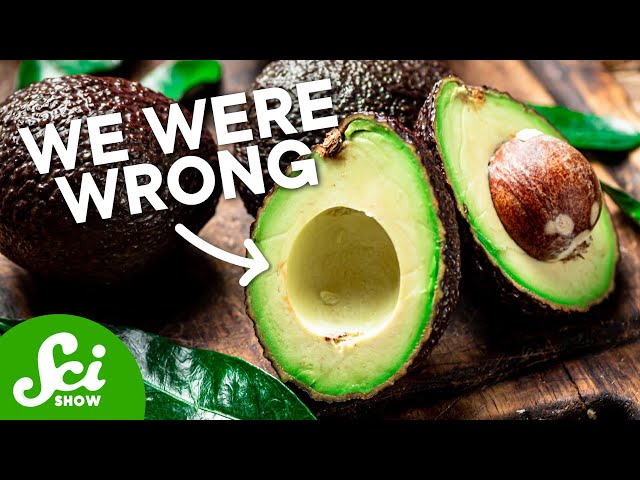 Everyone Was Wrong About Avocados - Including Us