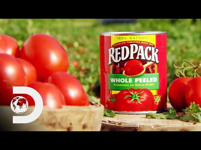 CANNED TOMATOES | How It's Made