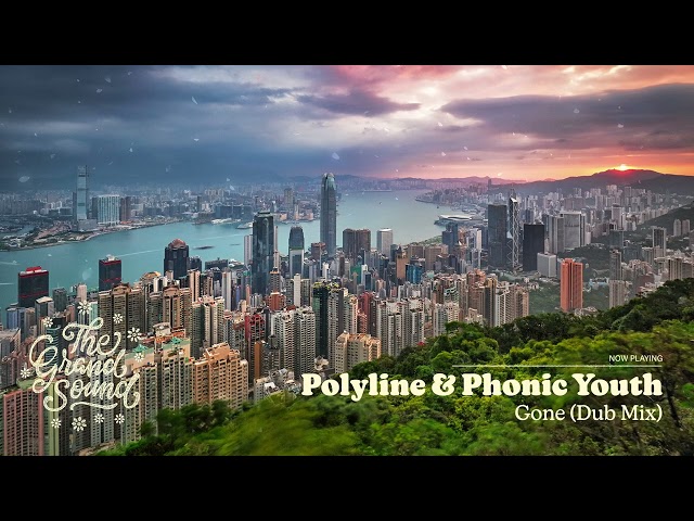 Polyline & Phonic Youth - Gone (Dub Mix)