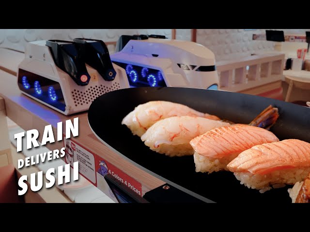 All-You-Can-Eat Conveyor Belt Sushi Restaurant