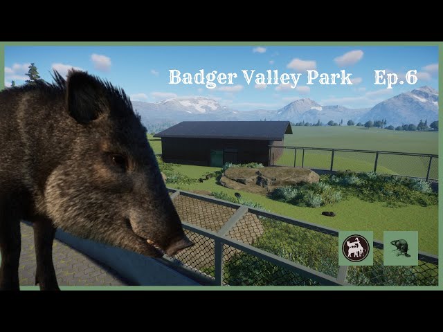 Collared Peccary Enclosure | Badger Valley Park | Planet Zoo | Speed Build | Ep.6