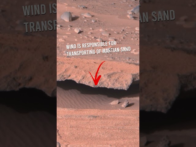 Saltation process forms Aeolian Sand Dunes on Mars