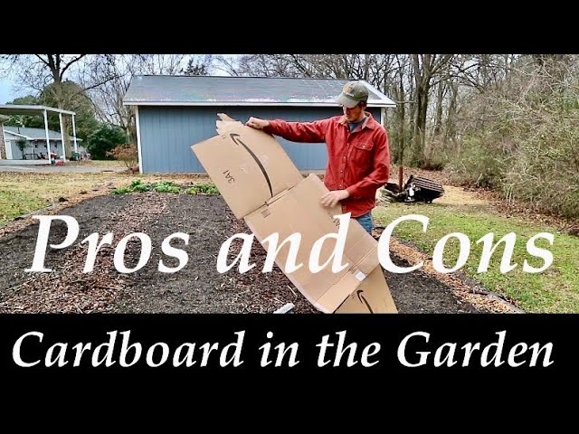 CARDBOARD in the Garden | PROS and CONS