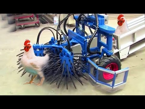 See how these machines work, can't believe. Incredible technology modern machines