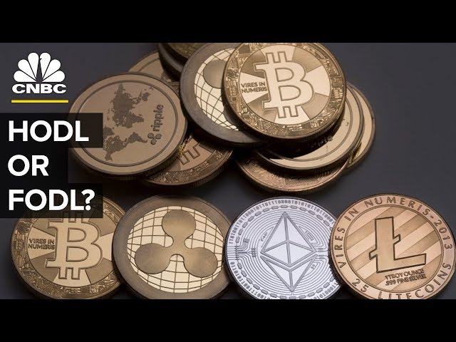 Early Bitcoin Investor Reveals Which Cryptocurrencies He Would HODL Or FODL | CNBC
