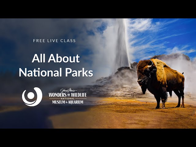 Varsity Tutors' StarCourse - All About National Parks with  Wonders of Wildlife