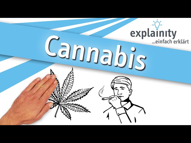 Cannabis einfach erklärt (explainity® Erklärvideo)