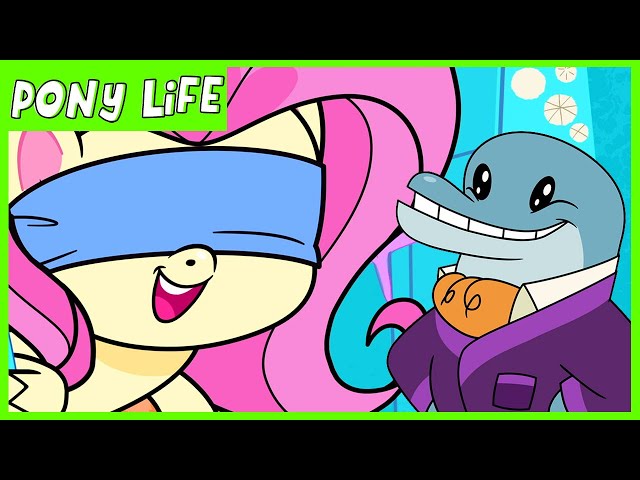Pony Life | NEW | Fluttershy Meets Dol-FIN-ale | MLP Pony Life